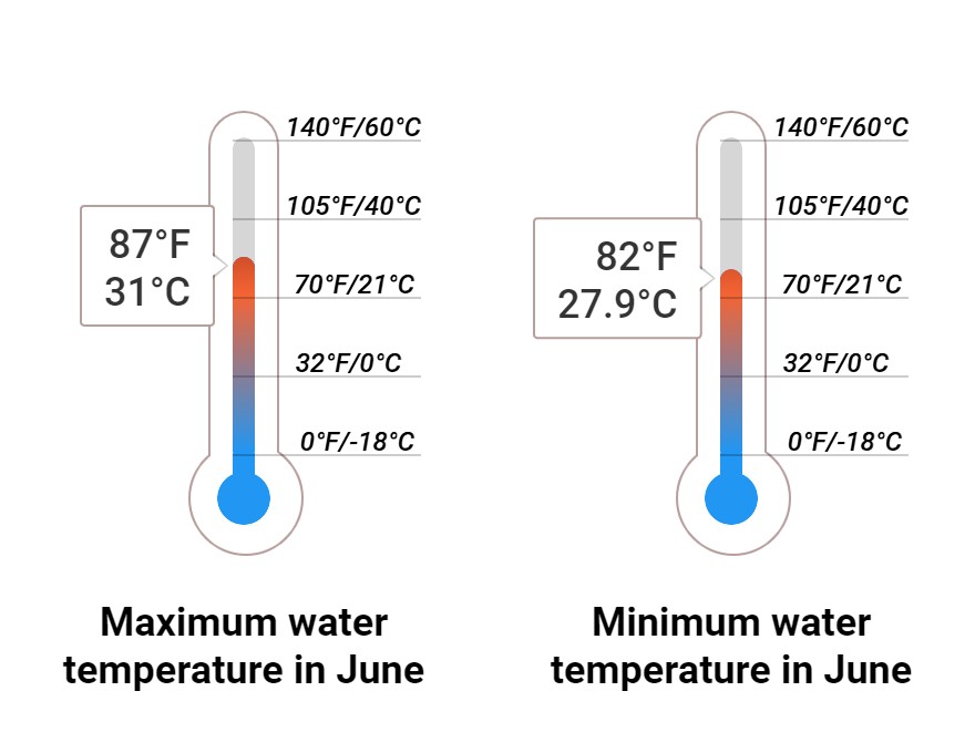 Average Sea temperature